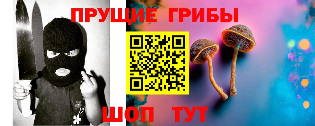 Псилоцибиновые грибы прущие грибы Тольятти