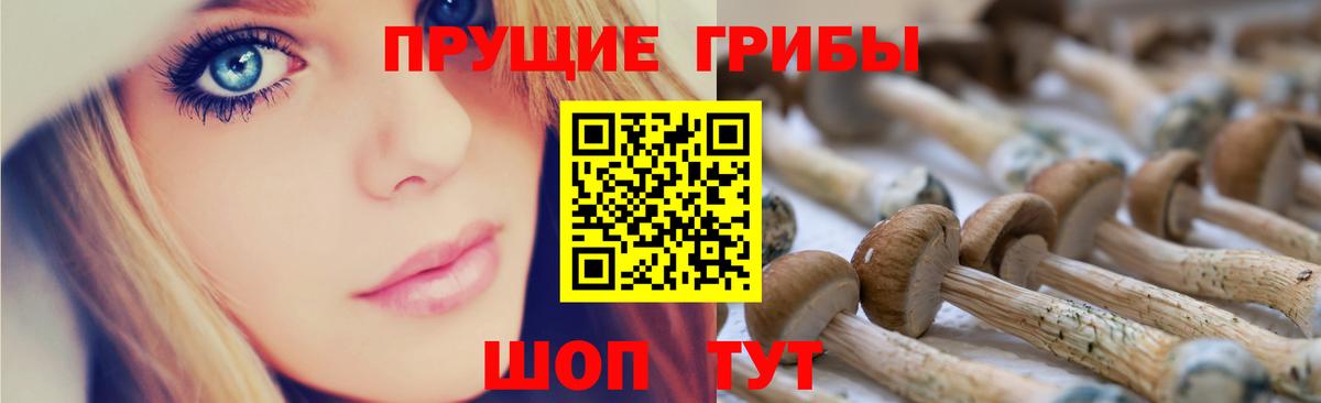 Псилоцибиновые грибы Cubensis  Вход с VPN  продажа наркотиков  Псилоцибиновые грибы GOLDEN TEACHER  Тольятти 